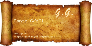 Gantz Gál névjegykártya